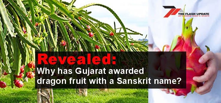 Revealed: Why has Gujarat awarded dragon fruit with a Sanskrit name?