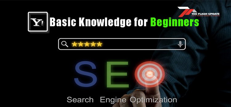 Search Engine Optimization basic knowledge