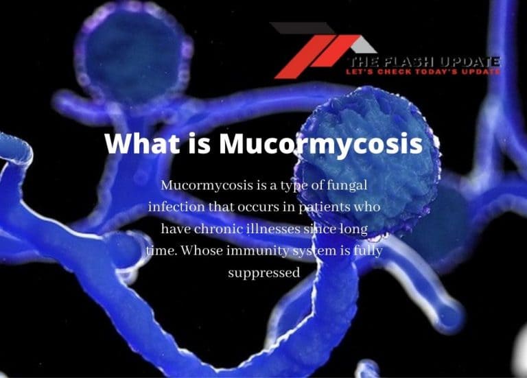 What is Mucormycosis | Symptoms of Black Fungus | How is White Fungus different from Black Fungus?