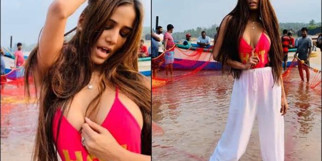 Poonam Pandey’s new music video with baby sharks