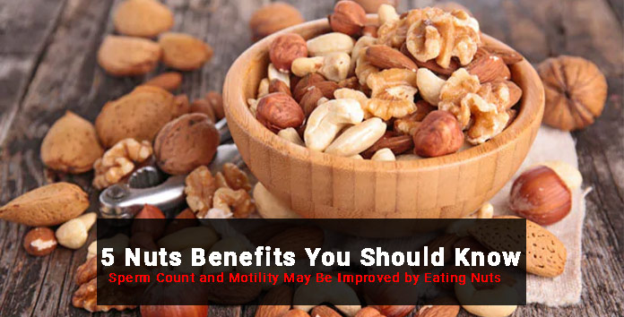 Sperm Count and Motility May Be Improved by Eating Nuts: 5 Nuts Benefits You Should Know