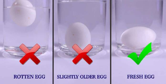 Place the egg in water and watch